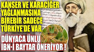 Kanser Ve Karaciğer Yağlanmasına Birebir Sadece Türkiyede Var. Dünyaca Ünlü İbn - I Baytar Öneriyor  Resimi