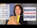 Видео вакансии ветеринарных врачей в Домодедово [РАБОТА В МОСКВЕ, ПОИСК РАБОТЫ, ВАКАНСИИ, РЕЗЮМЕ]