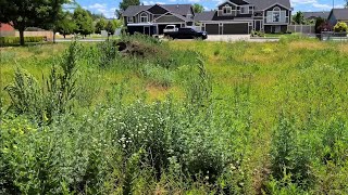 Customer SHOCKED At How Fast I MOWED His OVERGROWN Acre