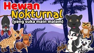 SI PETUALANG MALAM | HEWAN NOKTURNAL |