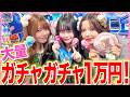 【散財🔥】夢のガチャガチャやり放題でかわいいモノ大量にゲット🩷最近のガチャガチャ本当に可愛すぎ✨