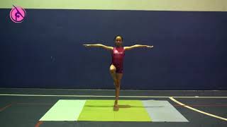 Level 2. Exercise 5.  Front passé