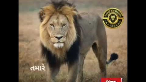 Devayat khavad Rajput status 2019||wattsapp status 2019||devayat khavad 2019