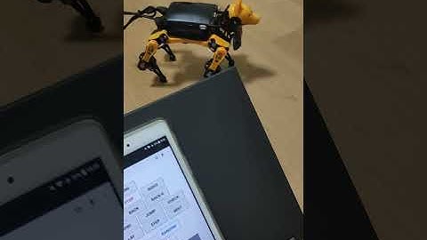 bittle web remote control