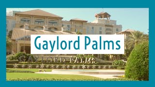 Gaylord Palms | Kissimmee | Orlando Florida 🏝🎄❄