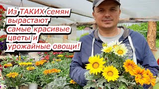 Готовимся К Новому Сезону. Посылка С Семенами Овощей И Цветов. Обзор.