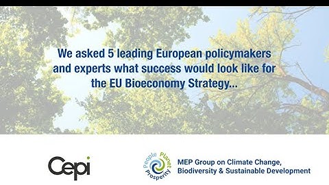 Event highlights: The new EU Bioeconomy Strategy and forest-based industries