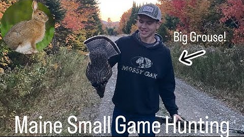 Ruffed Grouse Catch Clean Cook!