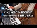 大人(NOBODY NOBODY) GRAPEVINEを演奏しました@20260506