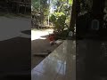 Dik sofi terjatuh
