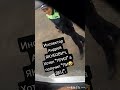 Пытается прогнуть водилу.  Но сам наболтал на ст.20.1 КоАП.
