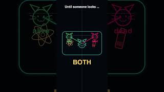 This Cat Is Alive AND Dead… Until You Look #education #learnmath #mathshorts