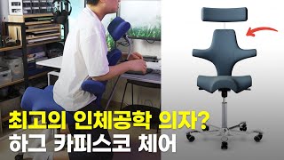 허리가 알아서 펴지는 2백만원대 의자, 과연 편할까? 하그 카피스코 리뷰