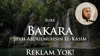Sure Bakara Reklamsız | Şeyh Abdulmuhsin el-Kasım | Kuran Tilaveti Doğa Manzarası