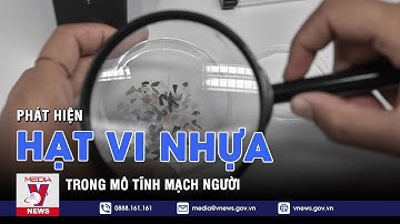 Phát hiện hạt vi nhựa trong mô tĩnh mạch người – Tin thế giới – VNEWS