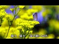 ◆M12. 蝶々(唱歌)