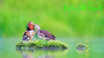 سُورَةُ الذَّارِيَاتِ بصوت الشيخ عبد الرحمن بن موسى رواية ورش عن نافع تجويد رائع