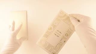 D-8850, White Color, Shimmery Finish Paper, Laser Cut Cards, Christian Invitations