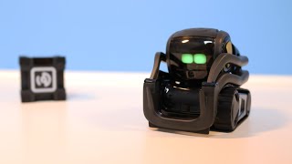 Kleiner Robotor als ein Haustier mit Künstlicher Intelligenz   Hey Vector