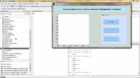 Final Year Projects | Low-Resolution Face Tracker Robust to Illumination Variations