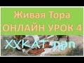 Онлайн Урок &quot;Жизнь по Торе&quot; Библия - Закон о Рыжей Корове Недельная Глава Хукат 5781