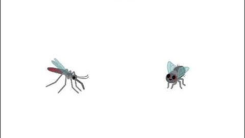 Video ngắnn🤓👆