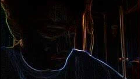 Biology, Physics, Society