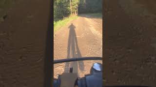 Vremea calda a sosit 🌤️#carpat #mtbbike #mtblife