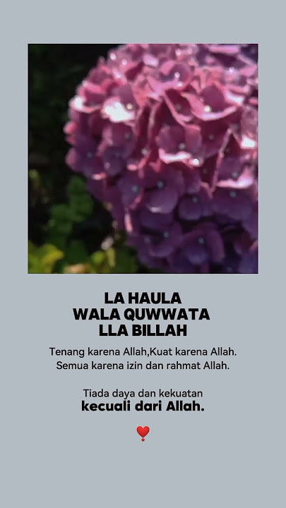 because of Allah #trending #shortvideo #quotes #motivational words of heart #music #islamicstatus...