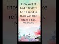 Daily Bread