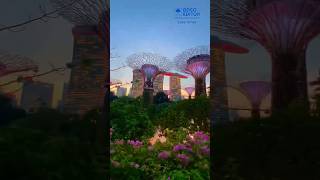 Suerte Whenever, Wherever Shakira