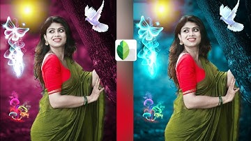 Snapseed Green And Bird Effect Photo Editing Tutorial | Snapseed Background Colour Change Tricks