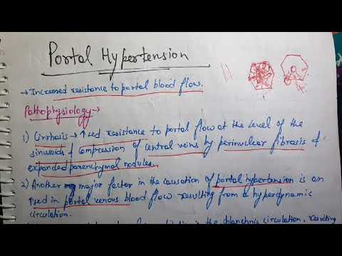 Portal Hypertension Pathology