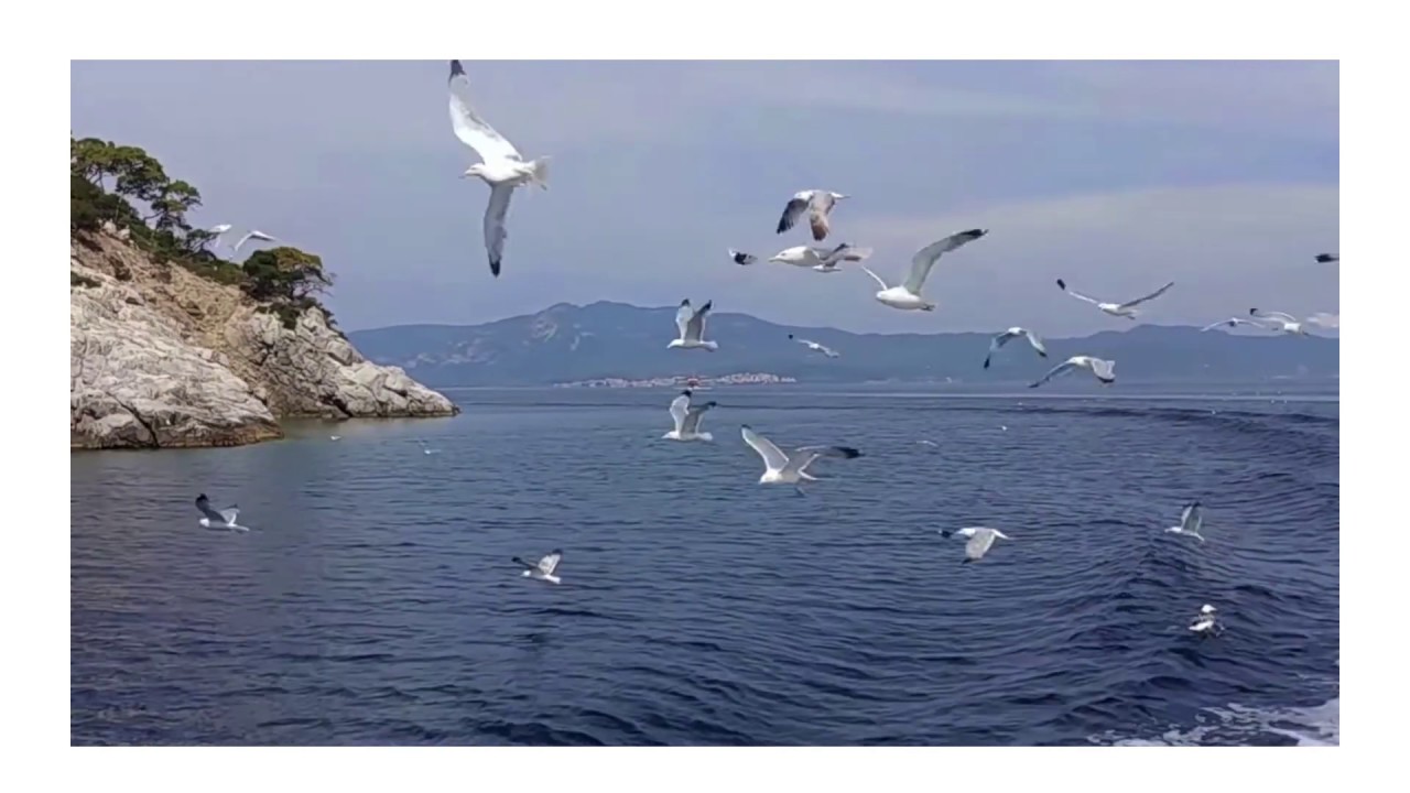 How To Rank And Rent Google My Business Listing In 2020