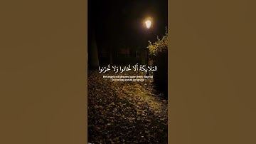 تلاوه القارئ اسلام صبحي بصوت جميل جدا ♥️