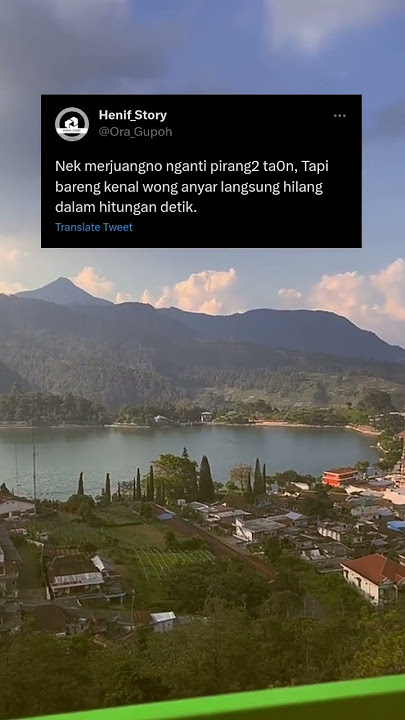 Nemu - difarina indra//viral tiktok//Storywhatsapp