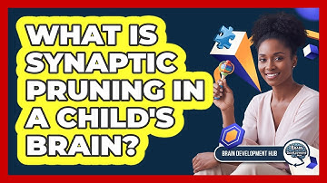 What Is Synaptic Pruning In A Child