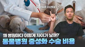 한국중성화수술지원센터 - Youtube