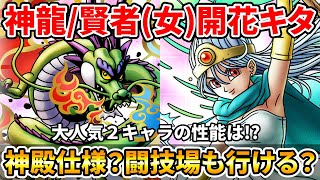 【ドラクエタクト】神龍/賢者(女)才能開花情報キタ！