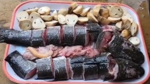 Toang hết rồi  mua 200 con cá lóc thả bể  đến lúc bắt còn 2 con 