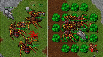 LvL EK 148 LURING OLD WIDOW Mass Kill (Astera 2006 7.72)