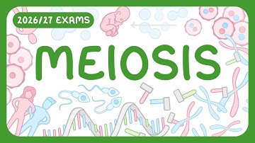 GCSE Biology - Meiosis (2026/27 exams)