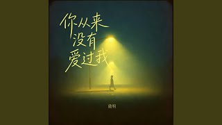 你从来没有爱过我 (DJ默涵版)