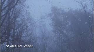 Rain & Thunder Sounds in the Foggy Forest | Thunderstorm Sounds for Sleep, Insomnia & Relaxing