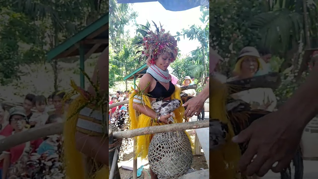 Adat Mentawai _ Pakandei _ daerah siberut utara desa malancan