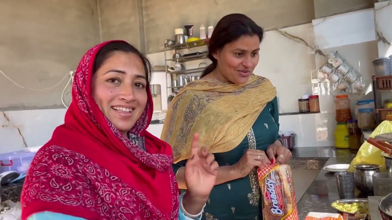 Ravinder didi ne saria nu apne hathi khawaye pakode