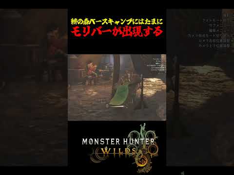 【MHWilds】緋の森ベースキャンプにはたまにモリバーが出現する #MHWilds #モンハンワイルズ #shorts