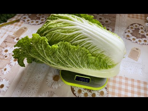 Пекинская капуста Маноко F1