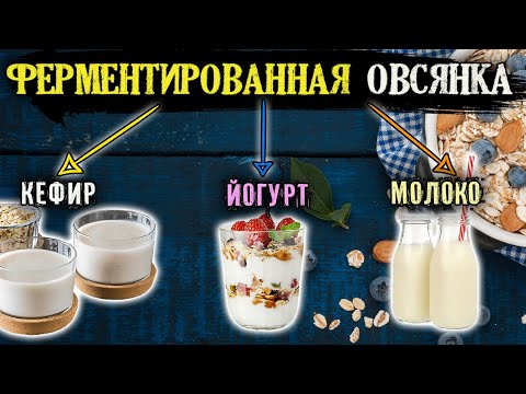 Ферментированная овсянка: идеальный завтрак | Овсяное молоко, кефир и йогурт