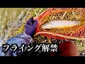 【フライング解禁】ブラウンだらけの川でタンパク源確保【在来種保護】